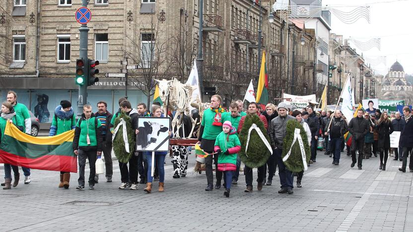 Pieno gamintojų protesto akcija