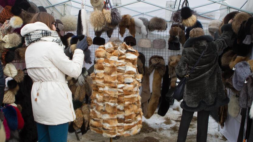 Tradicinės žirgų lenktynės "Sartai 2017"