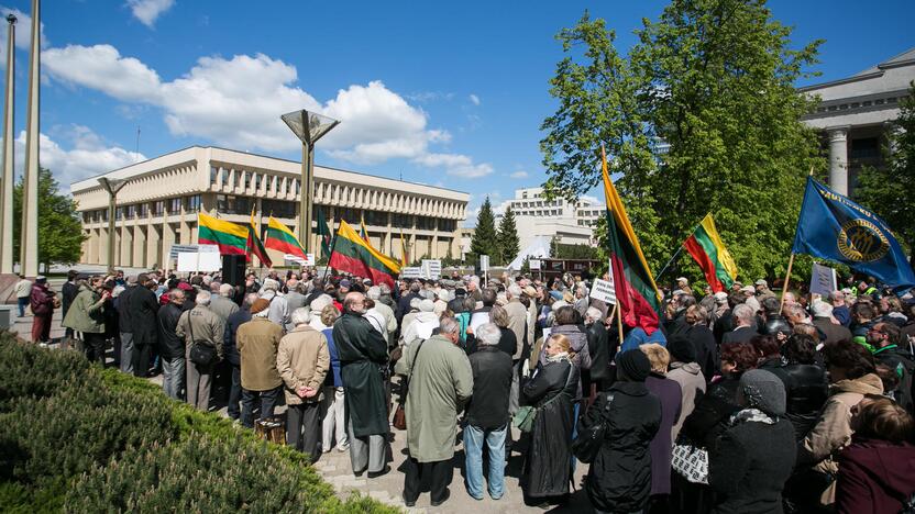 Mitinge prie Seimo skambėjo raginimai ginti lietuvių kalbą