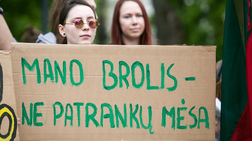 Nepritariančių šauktinių kariuomenės grąžinimui protestas