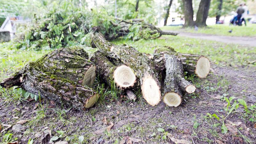 Po škvalo Reformatų parkas tvarkomas tik dabar