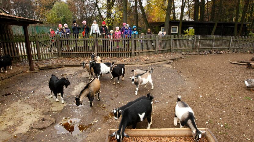 Gilių šventė zoologijos sode