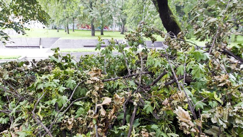 Po škvalo Reformatų parkas tvarkomas tik dabar