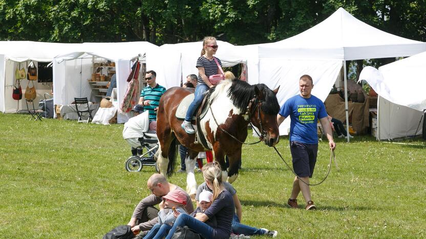 Kauno Hanzos dienos 2016