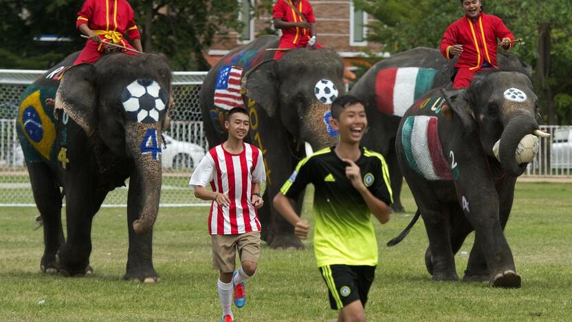 Futbolo fanai laukia artėjančio čempionato