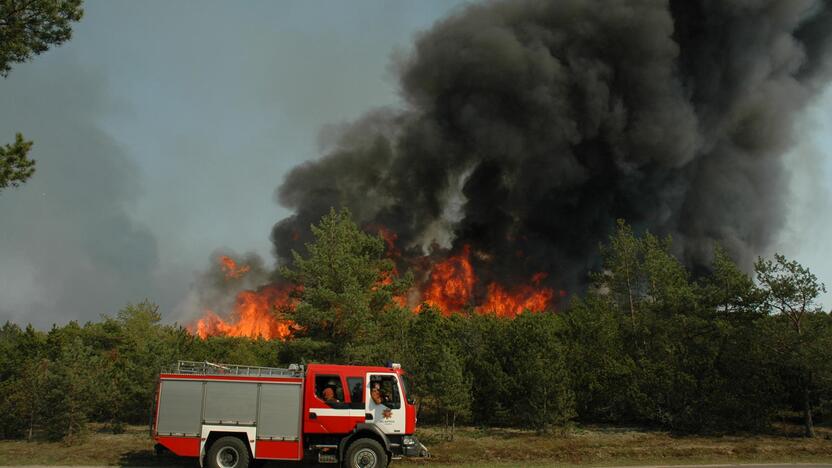 Versija: Smiltynės mišką galbūt padegė asmenys, siekiantys susidoroti su Valstybės saugomų teritorijų tarnybos vadove R.Baškyte.