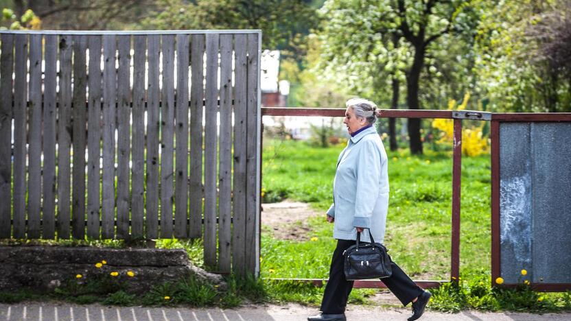 Pasivaikščiojimas po Vaidoto gatvę