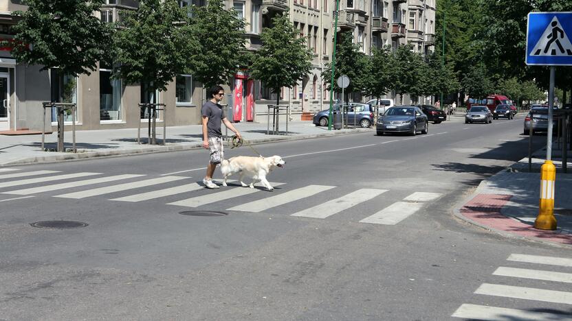 Išeitis: kad pėstiesiems būtų saugiau, Liepų ir J.Karoso gatvių sankryžoje siūloma įrengti šviesoforą ar greičio slopinimo kalnelius.