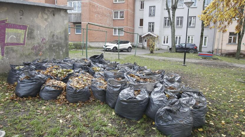 Tvarka: kontrolieriai prabrėžia, kad palikti maišų su lapais negalima bet kur. Juos reikia sudėti prie buitinių atliekų konteinerių dieną prieš išvežimą.