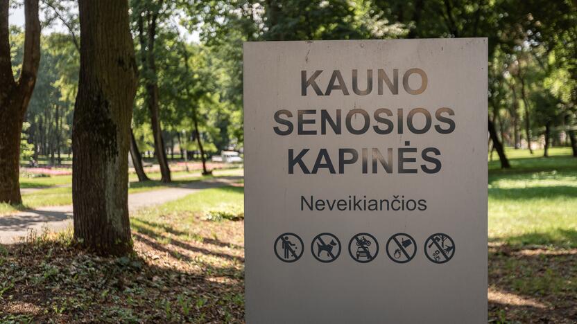 Sutvarkys: po minimalios rekonstrukcijos parkas taps tvarkingesnis, tačiau nepasikeis.