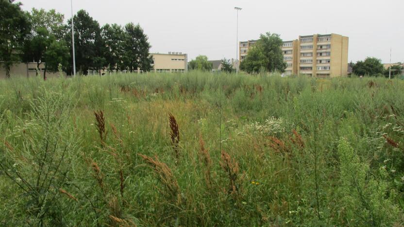 Pradėtas tvarkyti apleistas stadionas