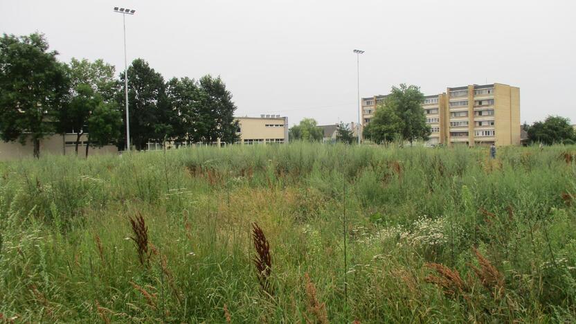 Pradėtas tvarkyti apleistas stadionas