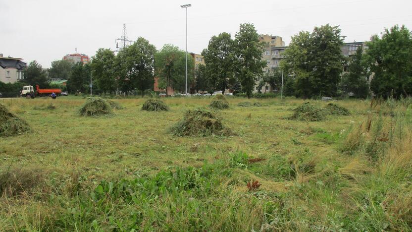 Pradėtas tvarkyti apleistas stadionas