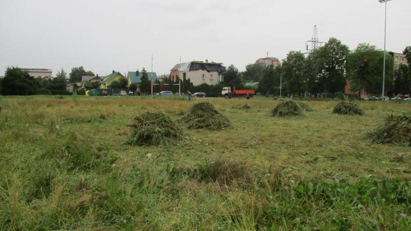 Pradėtas tvarkyti apleistas stadionas