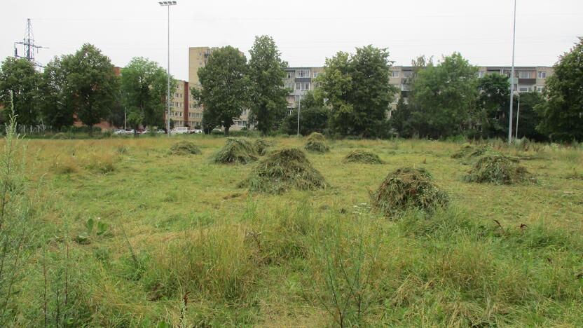 Pradėtas tvarkyti apleistas stadionas