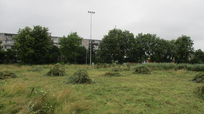 Pradėtas tvarkyti apleistas stadionas