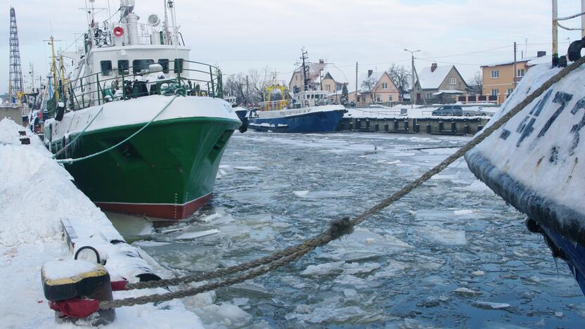 Nuostaba: laiku nespėjus paruošti kvotų skirstymo tvarkos šių metų pradžioje, žvejai negalėjo pradėti žvejybos.