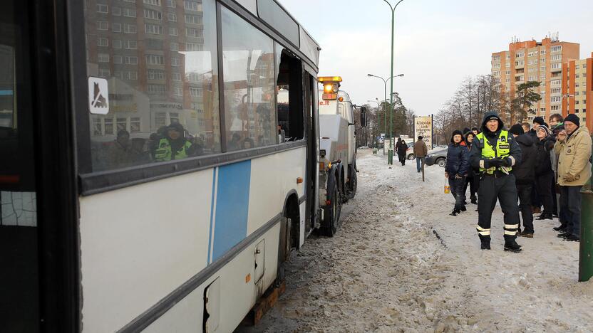 Kaktomuša susidūrė keleiviniai autobusai