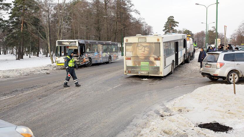 Kaktomuša susidūrė keleiviniai autobusai