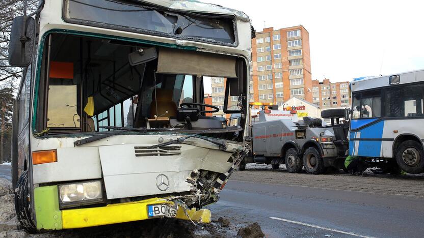 Kaktomuša susidūrė keleiviniai autobusai