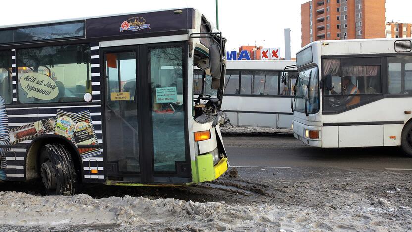 Kaktomuša susidūrė keleiviniai autobusai