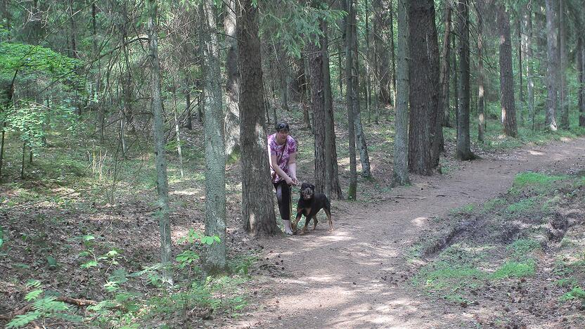 Miškuose – padidėjęs gaisrų pavojus