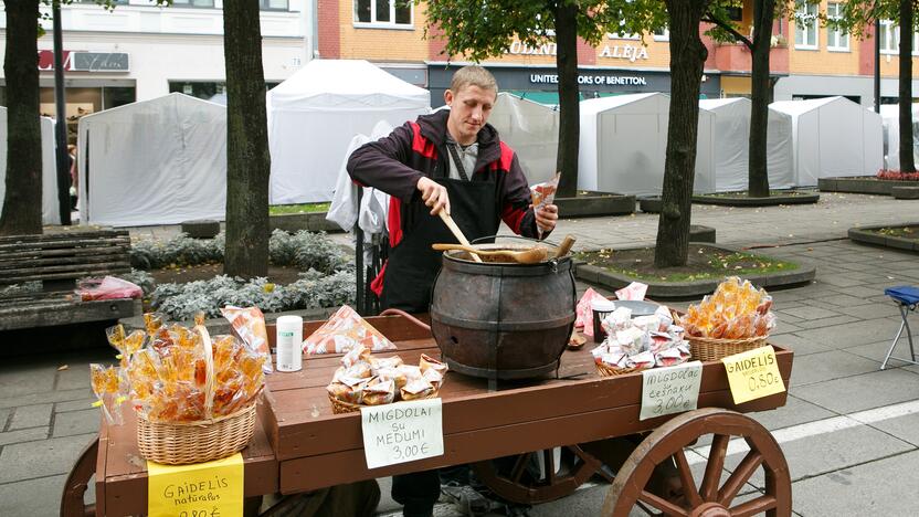 Derliaus ir amatų šventė