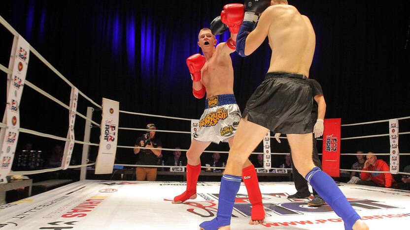 Tarptautinis muay thai turnyras „Powerfight“