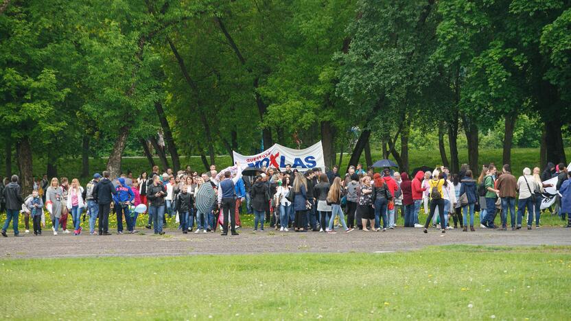 Piketas prieš kainas