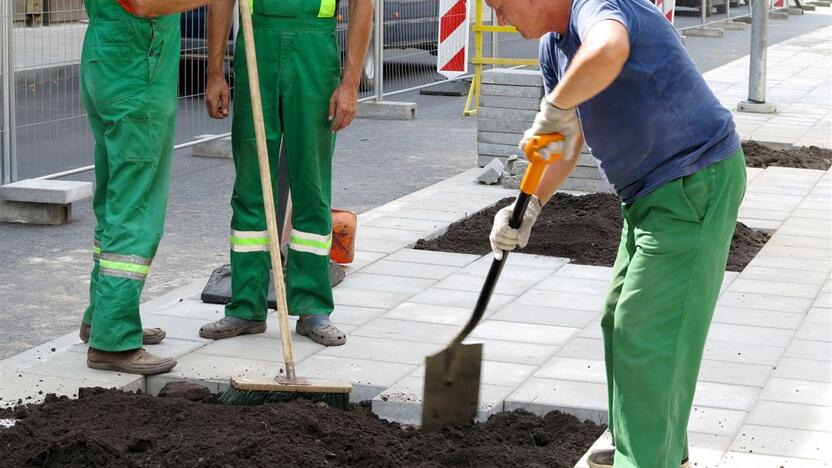 Šermukšnių gatvėje ruošiamasi šermukšnių sodinimui