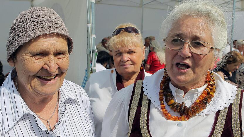 Tremtinių ir politinių kalinių sąskrydis Ariogaloje