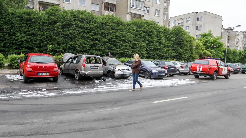 Šarkuvos g. sudegė du automobiliai