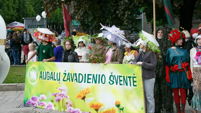 Augalų žavadienis