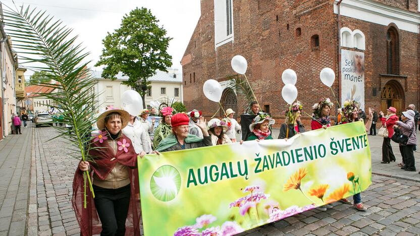 Augalų žavadienio eisena