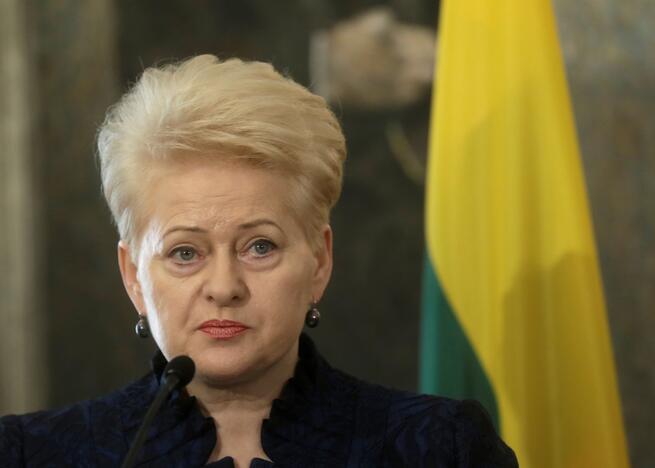 D. Grybauskaitė: Sirijos ir Rusijos vadovai turi žinoti raudonas linijas