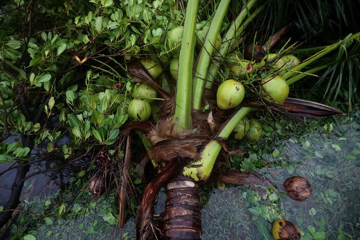 Uraganas „Irma“ Floridoje