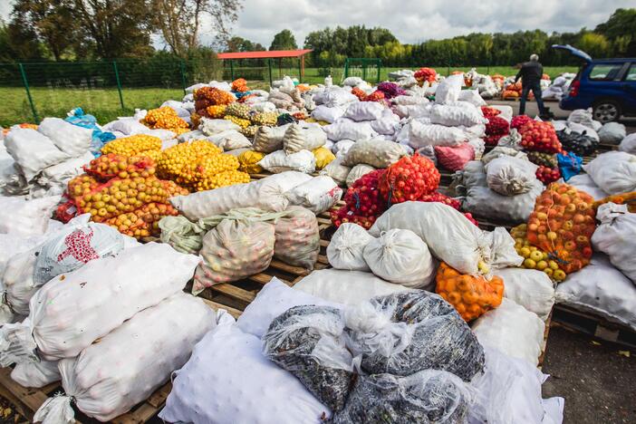 Sulčių spaudėjams pats darbymetis