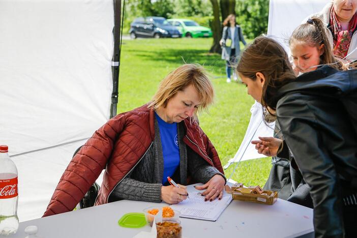 Aitvarų festivalis Klaipėdoje