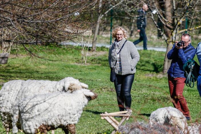 Botanikos sode - Pasaulinė Motinos Žemės diena