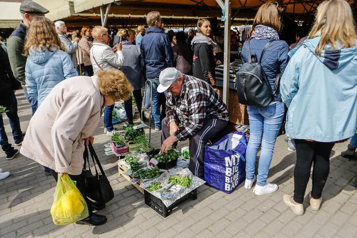 Muzikantai ir šokėjai – tarp turgaus prekeivių