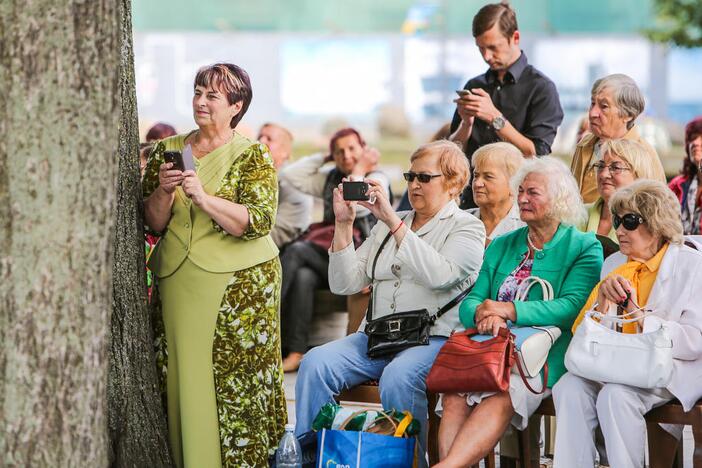 Šokių festivalis "Europos šokių pynė"