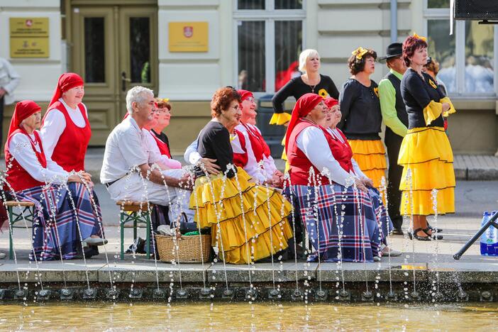 Šokių festivalis "Europos šokių pynė"