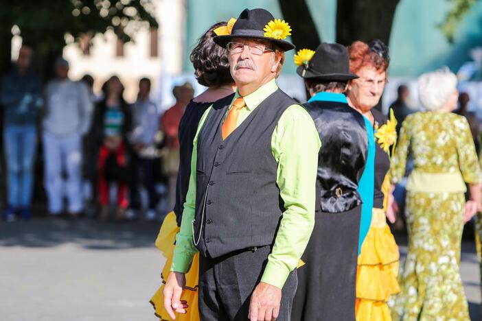 Šokių festivalis "Europos šokių pynė"