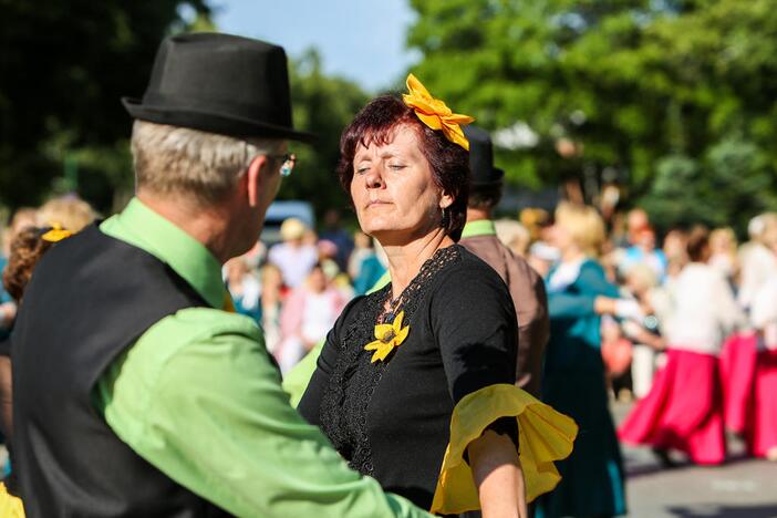 Šokių festivalis "Europos šokių pynė"