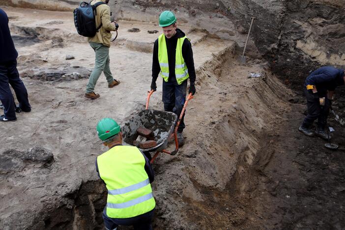 Archeologiniai kasinėjimai piliavietėje