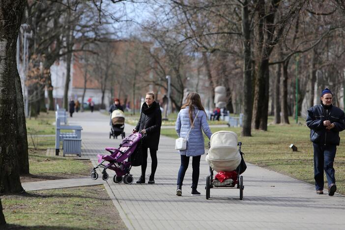 Vynerio arbatėlė skulptūrų parke