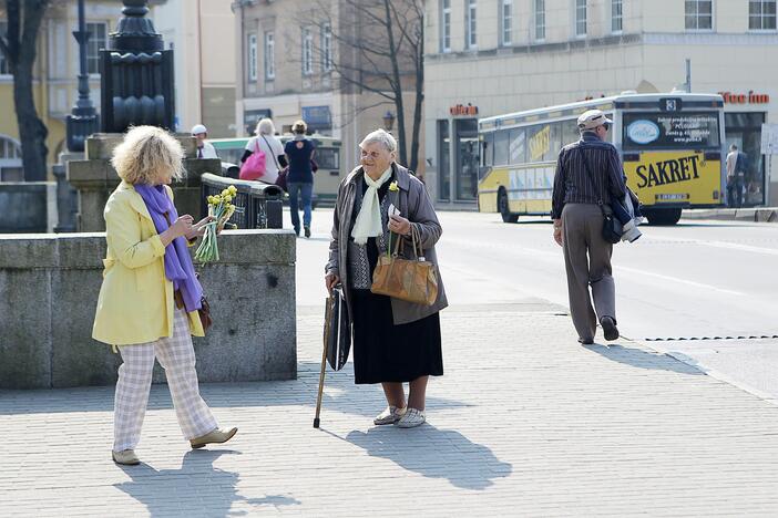 Klaipėdos gatvėse dalinami narcizai