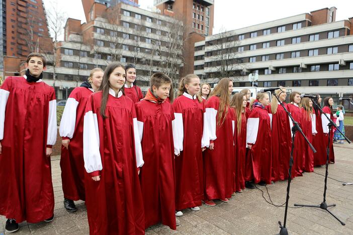 Koncertas – akcija „Padovanok ramunės žiedą!“