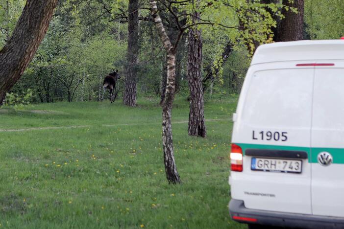 Naktinis policijos darbas