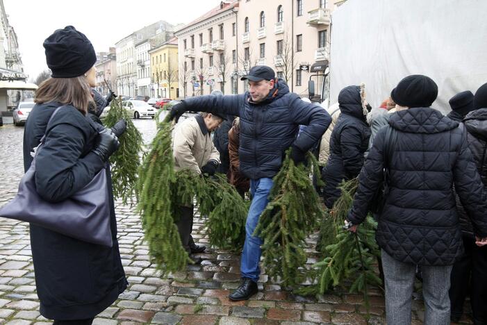 Eglės šakų dalinimas Klaipėdoje